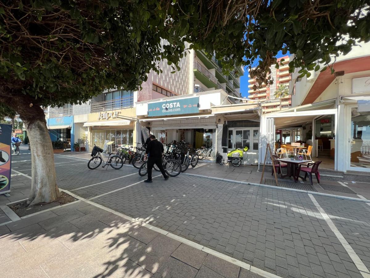 Apartamento 3 Dormitorios En Centro De Con Parking Privado Lejlighed Marbella